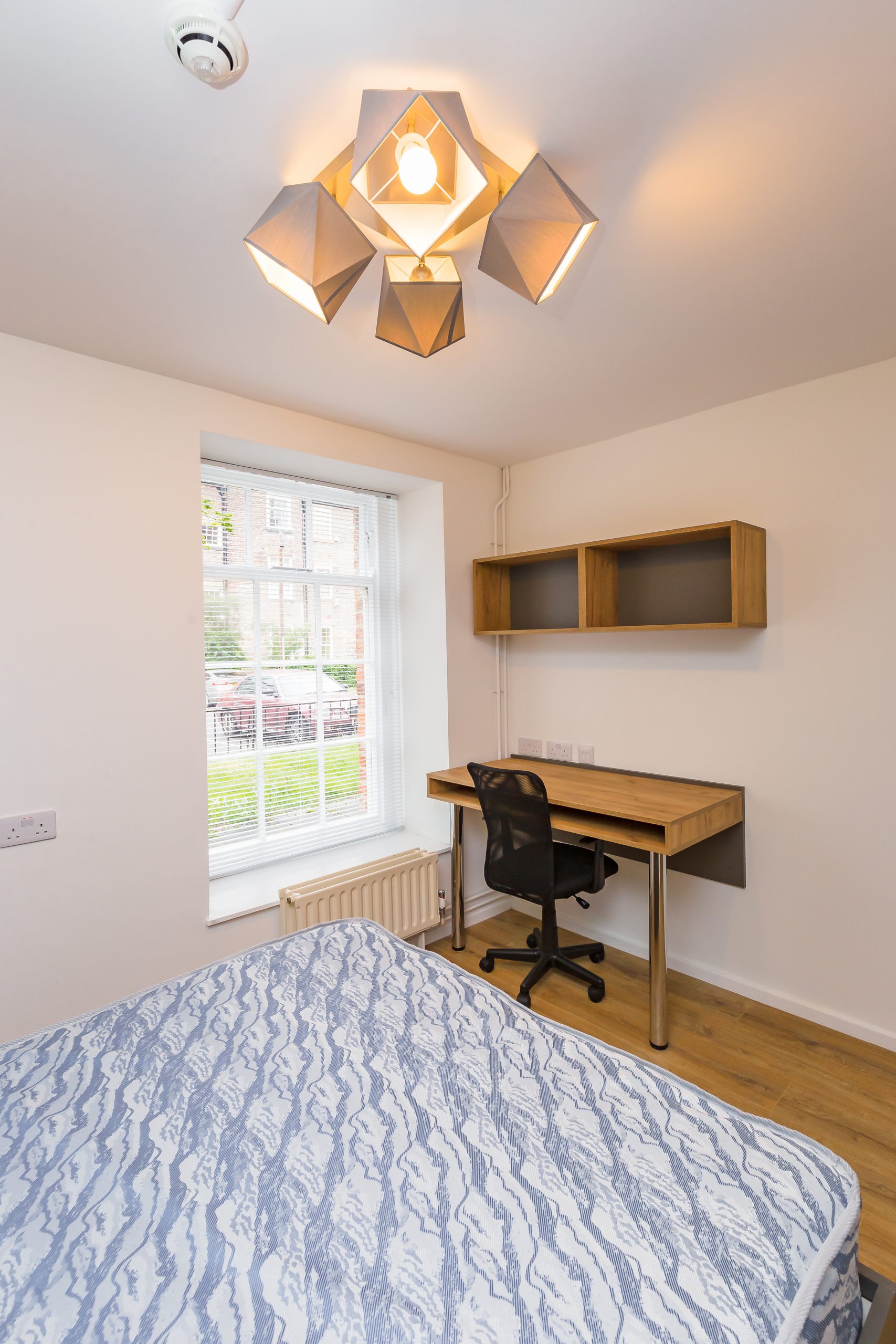 annamillerart 20200828 LeazesPark Day6 245 scaled